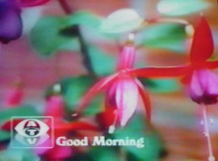 sub-TV Image