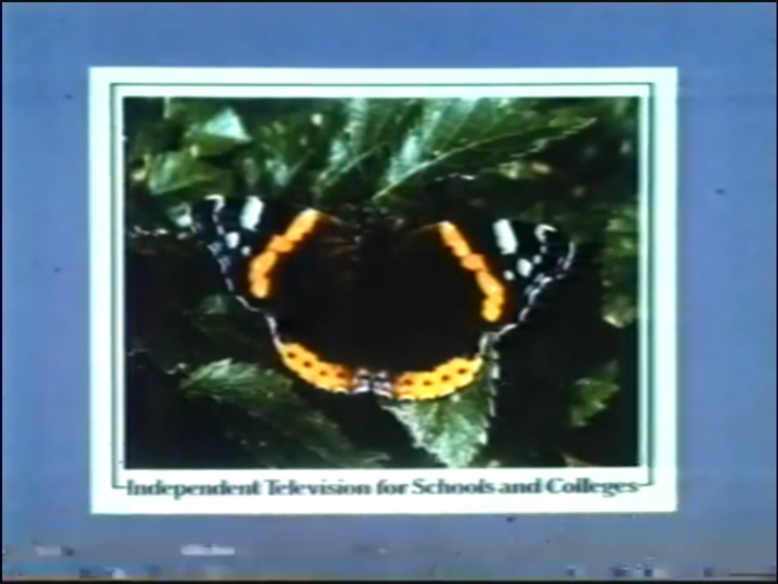 Autumn Term 1982 slide